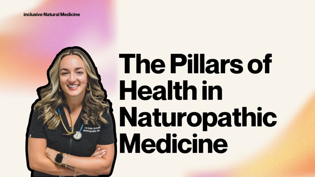 The Pillars of Health in Naturopathic Medicine by Katie Schneller NMD of Inclusive Natural Medicine.